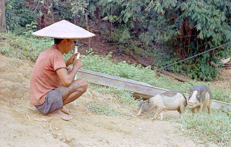 Sarawak Late 1960s (36 of 44)